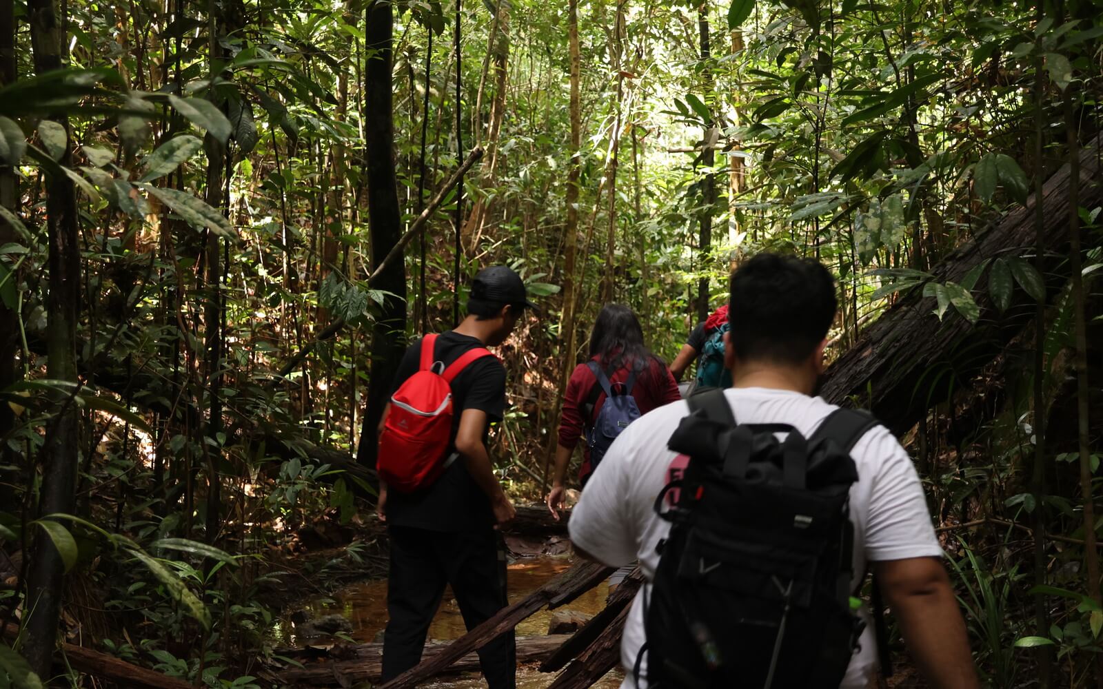 panbil nature reserve